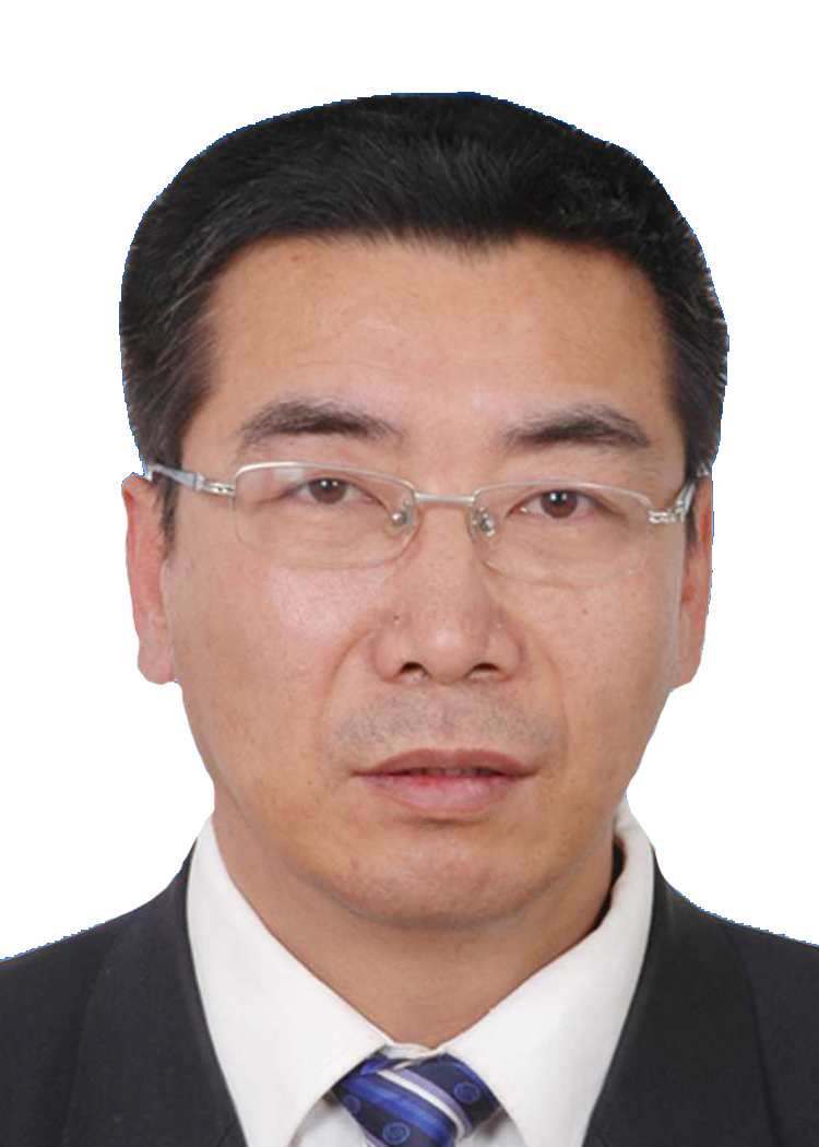樊力